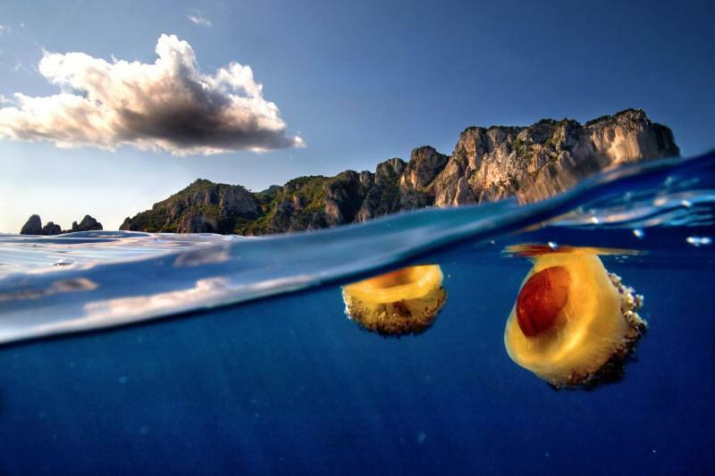 Villa Marina Piccola Ai Faraglioni Capri Exteriör bild